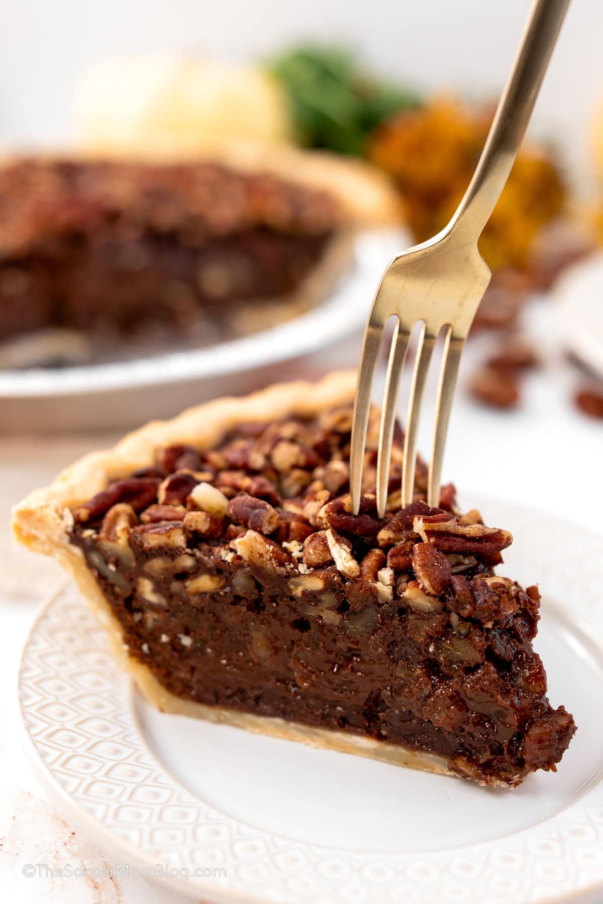 Texas Chocolate Pecan Pie